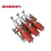 雷泉FKN12-12/630A-20KA戶內(nèi)高壓負(fù)荷開關(guān)